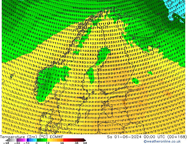 карта температуры ECMWF сб 01.06.2024 00 UTC