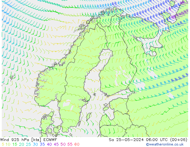 ветер 925 гПа ECMWF сб 25.05.2024 06 UTC