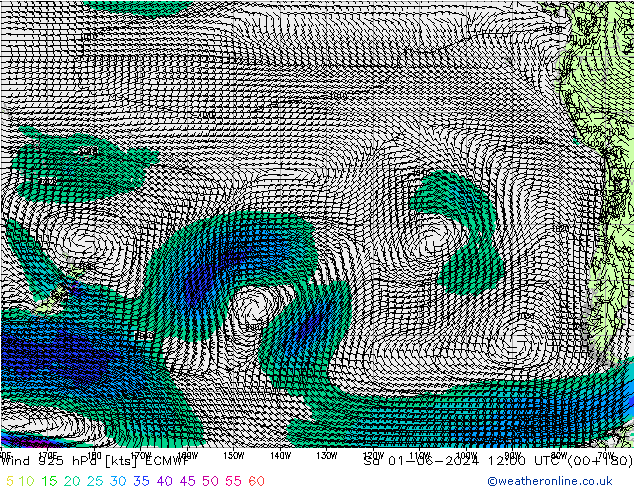 Wind 925 hPa ECMWF Sa 01.06.2024 12 UTC