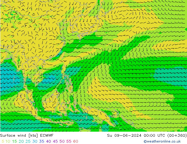 Rüzgar 10 m ECMWF Paz 09.06.2024 00 UTC