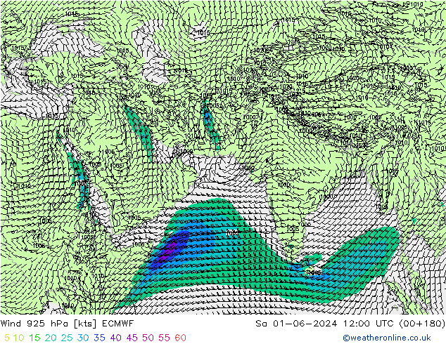 Wind 925 hPa ECMWF Sa 01.06.2024 12 UTC