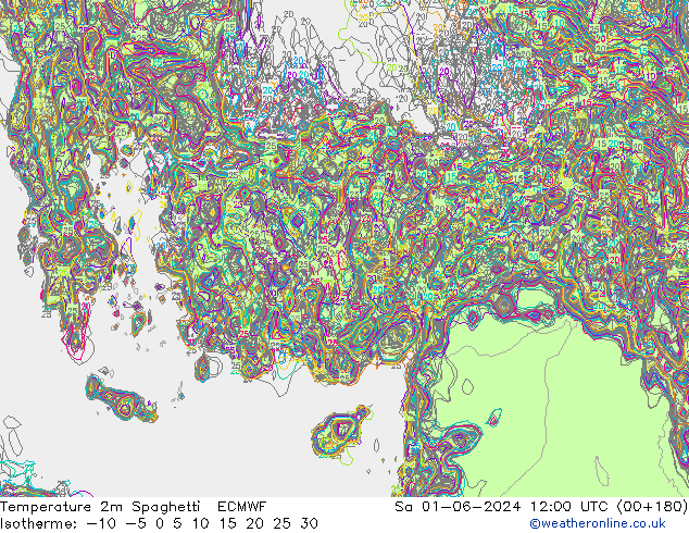 Sıcaklık Haritası 2m Spaghetti ECMWF Cts 01.06.2024 12 UTC