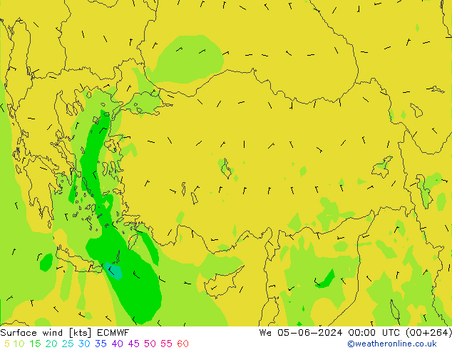 Surface wind ECMWF We 05.06.2024 00 UTC