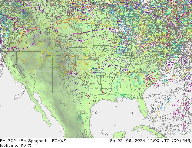 Humedad rel. 700hPa Spaghetti ECMWF sáb 08.06.2024 12 UTC