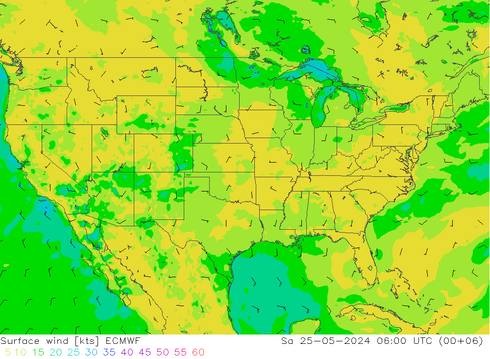 Vento 10 m ECMWF sab 25.05.2024 06 UTC