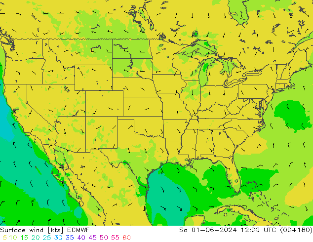 ветер 10 m ECMWF сб 01.06.2024 12 UTC