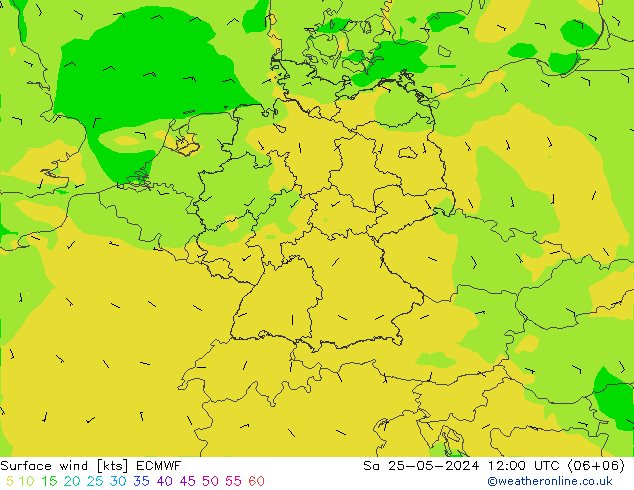 Bodenwind ECMWF Sa 25.05.2024 12 UTC