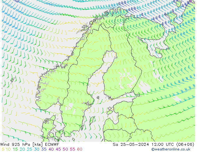 Wind 925 hPa ECMWF So 25.05.2024 12 UTC