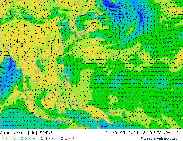 Wind 10 m ECMWF za 25.05.2024 18 UTC