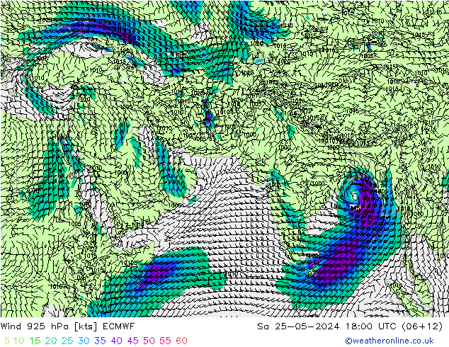 Wind 925 hPa ECMWF So 25.05.2024 18 UTC