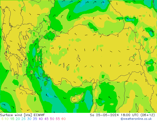 ветер 10 m ECMWF сб 25.05.2024 18 UTC