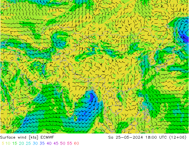 Rüzgar 10 m ECMWF Cts 25.05.2024 18 UTC