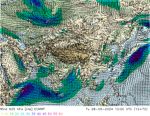  925 hPa ECMWF  28.05.2024 12 UTC