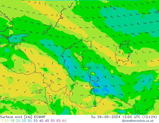 Surface wind ECMWF Su 26.05.2024 12 UTC