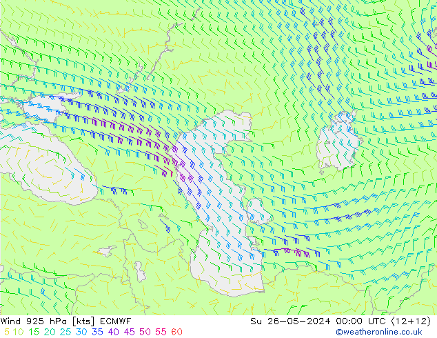 ветер 925 гПа ECMWF Вс 26.05.2024 00 UTC