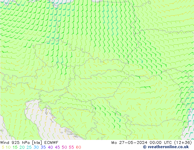 ветер 925 гПа ECMWF пн 27.05.2024 00 UTC