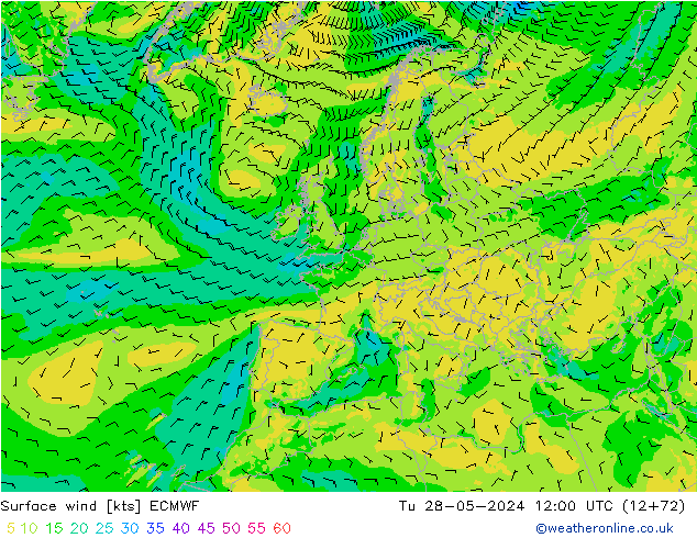 ветер 10 m ECMWF вт 28.05.2024 12 UTC