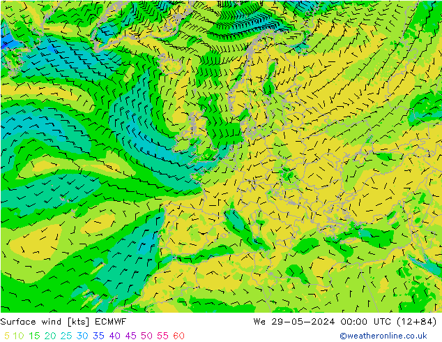 Surface wind ECMWF We 29.05.2024 00 UTC