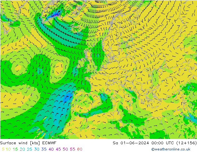 ветер 10 m ECMWF сб 01.06.2024 00 UTC