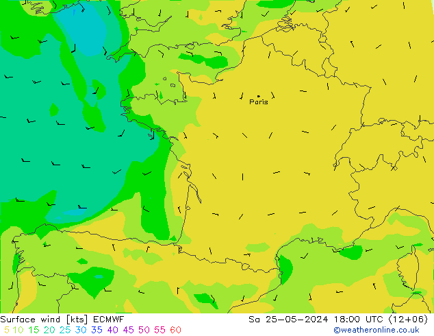 Surface wind ECMWF Sa 25.05.2024 18 UTC