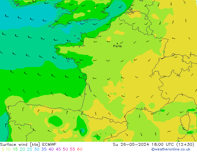  10 m ECMWF  26.05.2024 18 UTC