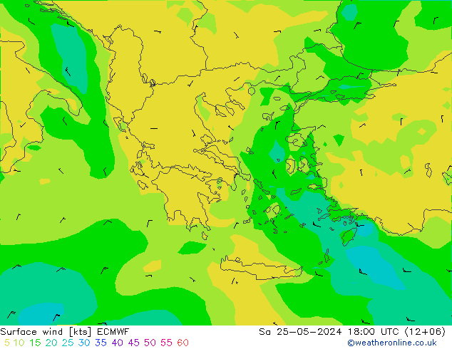 Surface wind ECMWF Sa 25.05.2024 18 UTC