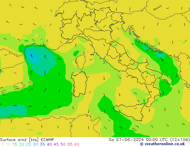 Viento 10 m ECMWF sáb 01.06.2024 00 UTC