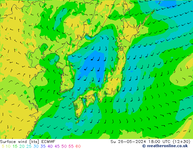 Surface wind ECMWF Su 26.05.2024 18 UTC