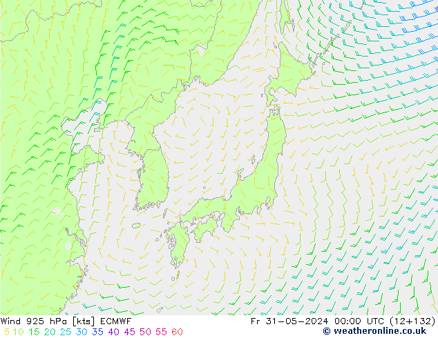 Wind 925 hPa ECMWF Pá 31.05.2024 00 UTC