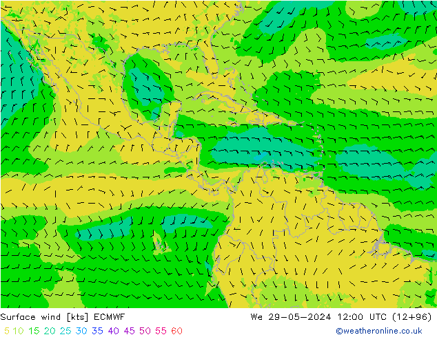 Surface wind ECMWF St 29.05.2024 12 UTC