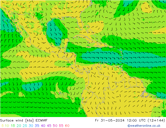 Surface wind ECMWF Fr 31.05.2024 12 UTC