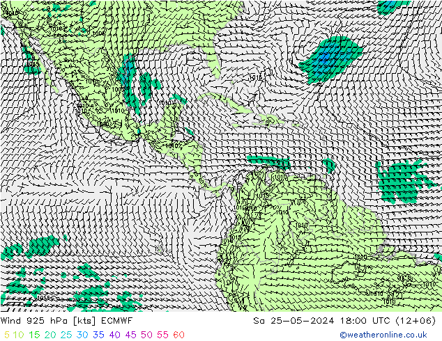  925 hPa ECMWF  25.05.2024 18 UTC