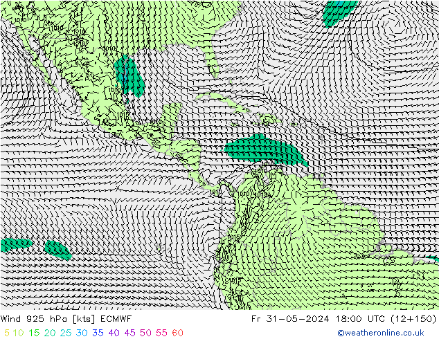 Vent 925 hPa ECMWF ven 31.05.2024 18 UTC