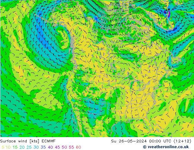 Bodenwind ECMWF So 26.05.2024 00 UTC