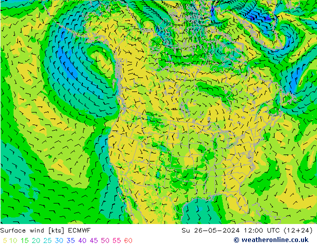 Vento 10 m ECMWF Dom 26.05.2024 12 UTC