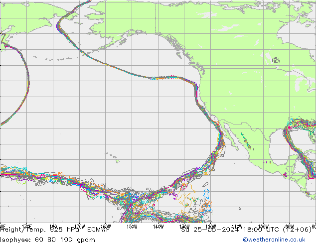 Height/Temp. 925 hPa ECMWF So 25.05.2024 18 UTC