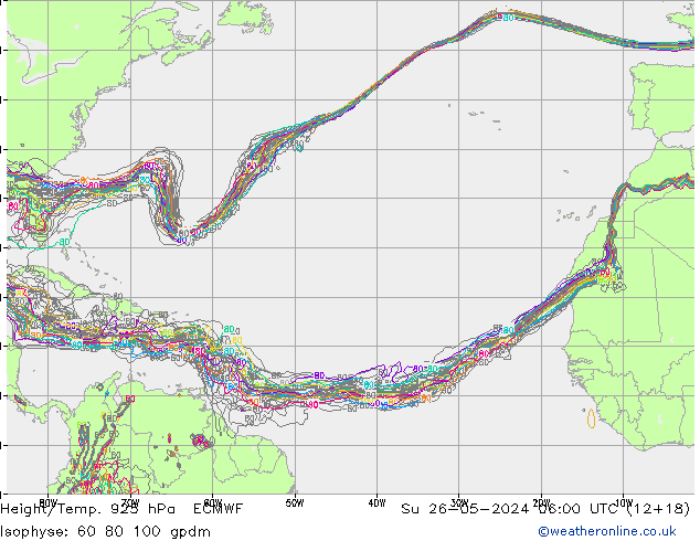 Hoogte/Temp. 925 hPa ECMWF zo 26.05.2024 06 UTC