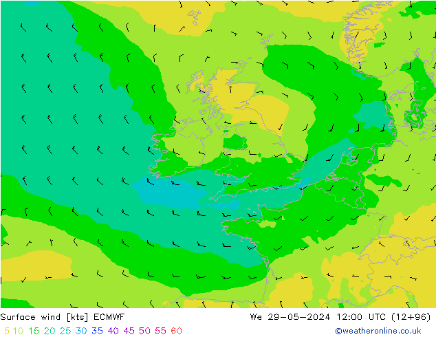 Surface wind ECMWF We 29.05.2024 12 UTC