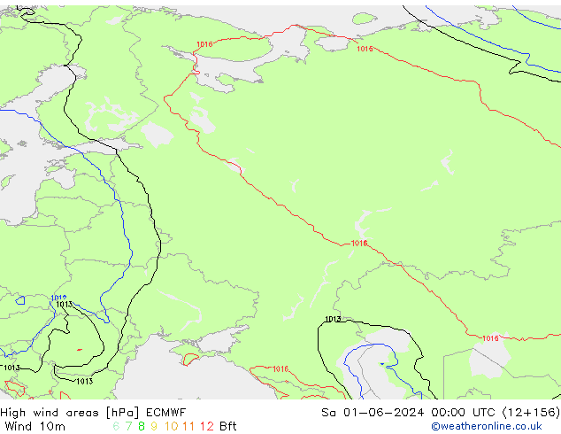 yüksek rüzgarlı alanlar ECMWF Cts 01.06.2024 00 UTC