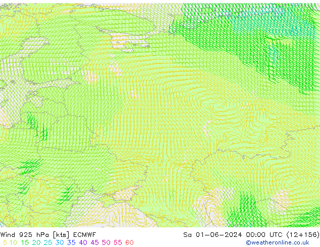 Rüzgar 925 hPa ECMWF Cts 01.06.2024 00 UTC