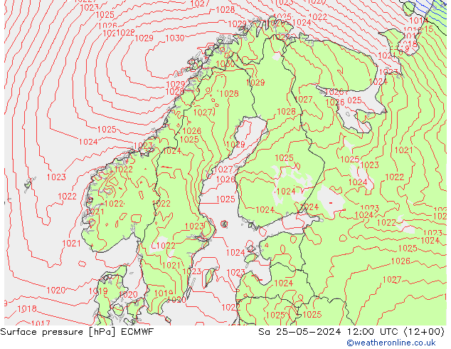 приземное давление ECMWF сб 25.05.2024 12 UTC