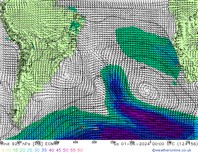 Vento 925 hPa ECMWF sab 01.06.2024 00 UTC