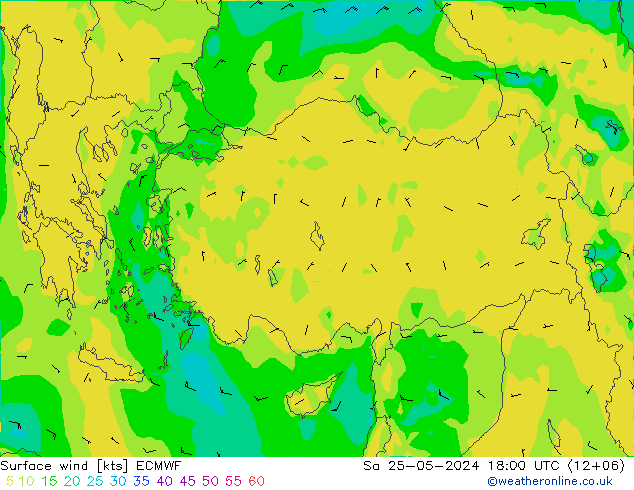 Surface wind ECMWF Sa 25.05.2024 18 UTC