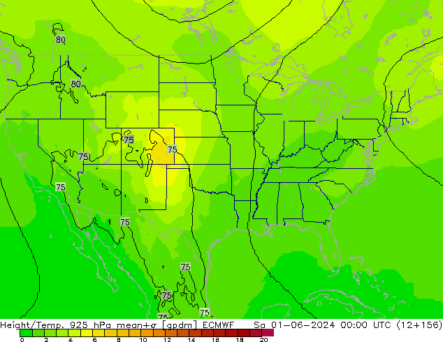 Height/Temp. 925 гПа ECMWF сб 01.06.2024 00 UTC