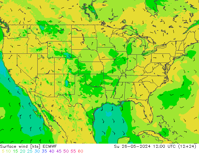 Surface wind ECMWF Su 26.05.2024 12 UTC