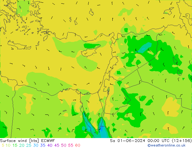 Rüzgar 10 m ECMWF Cts 01.06.2024 00 UTC