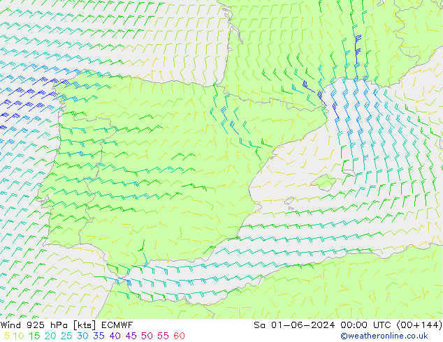  925 hPa ECMWF  01.06.2024 00 UTC