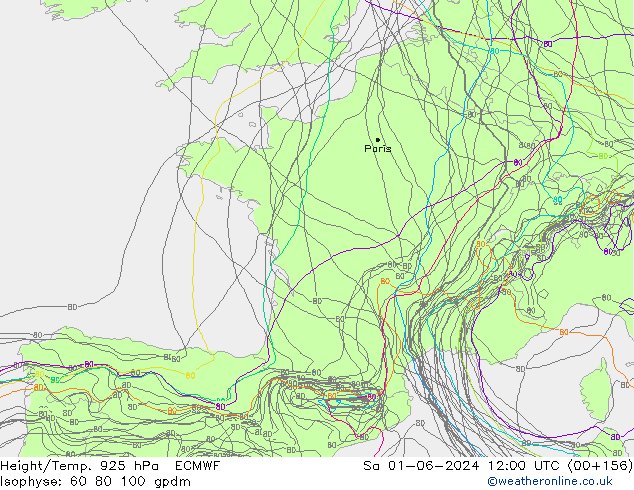 Géop./Temp. 925 hPa ECMWF sam 01.06.2024 12 UTC