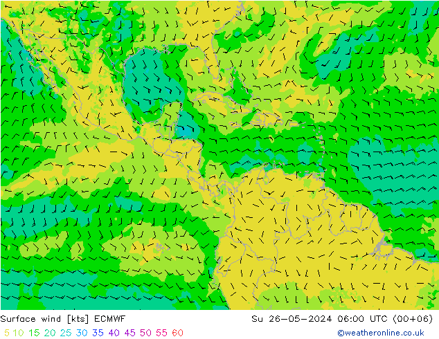 Wind 10 m ECMWF zo 26.05.2024 06 UTC