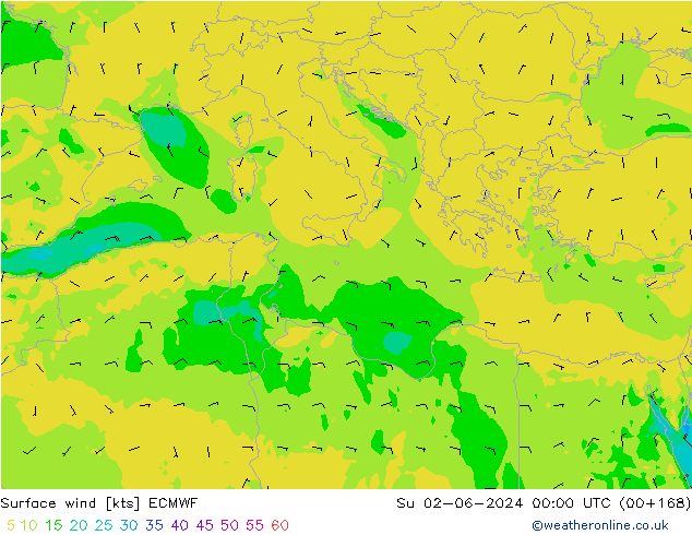 Surface wind ECMWF Su 02.06.2024 00 UTC